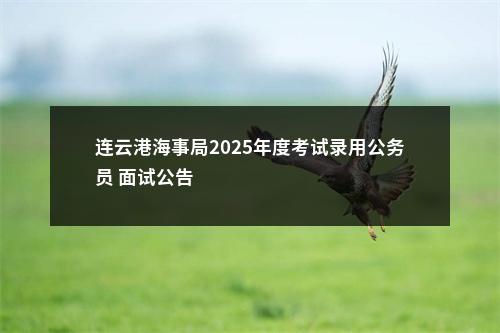 连云港海事局2025年度考试录用公务员 面试公告                进入阅读模式 图片